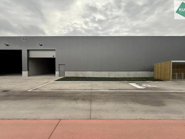 Local Commercial vente à Brugge, West-Vlaanderen