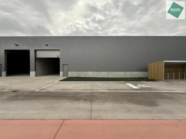 Local Commercial vente à Brugge, West-Vlaanderen
