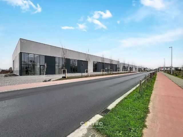 Local Commercial vente à Dentergem, West-Vlaanderen