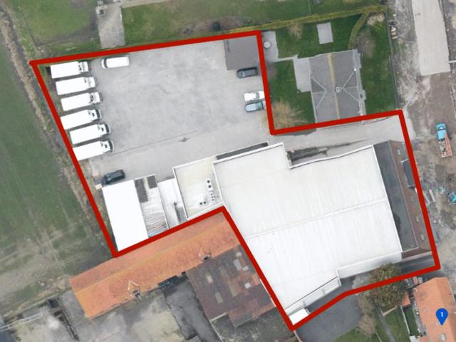 Local Commercial vente à Furnes, West-Vlaanderen