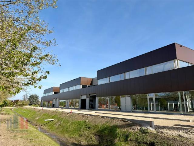 Local Commercial vente à Haelen, Limburg