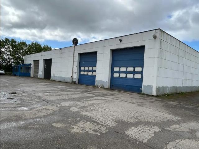 Local Commercial vente à Hamont-achel, Limburg