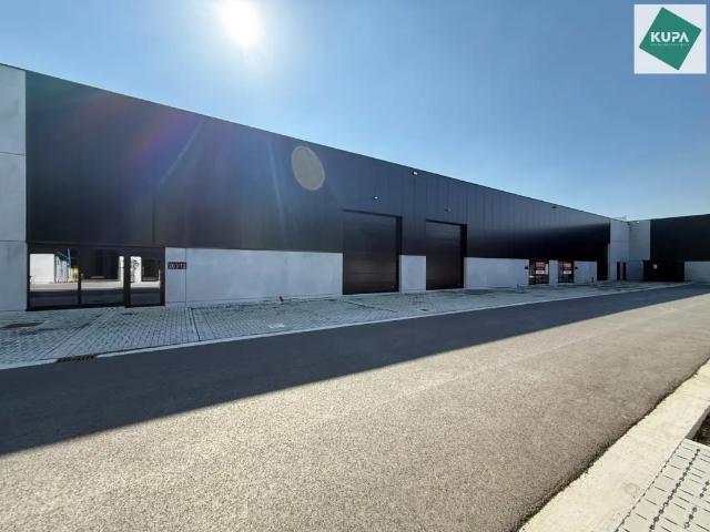 Local Commercial vente à Gits, West-Vlaanderen