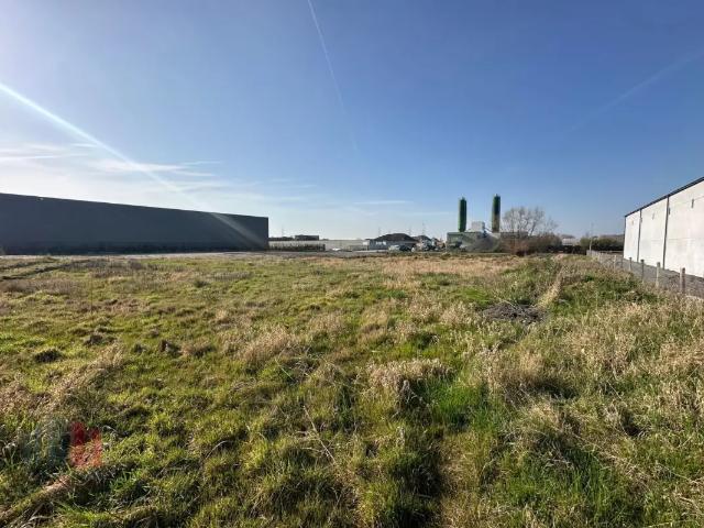Local Commercial vente à Kluisbergen, Oost-Vlaanderen
