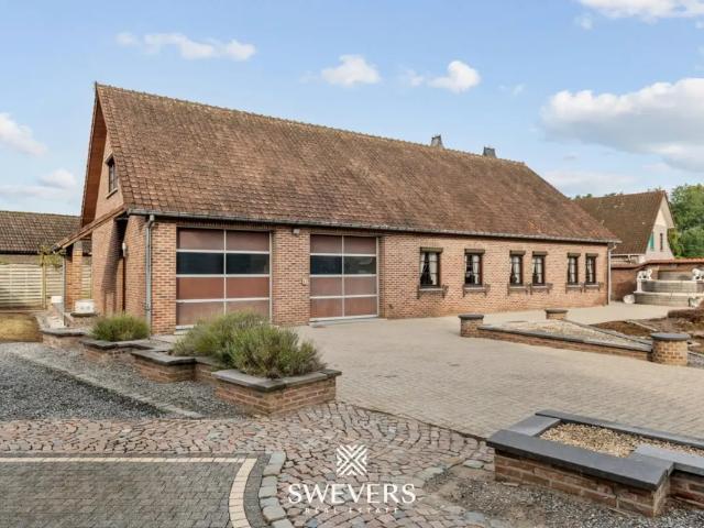 Local Commercial vente à Beringen, Limburg