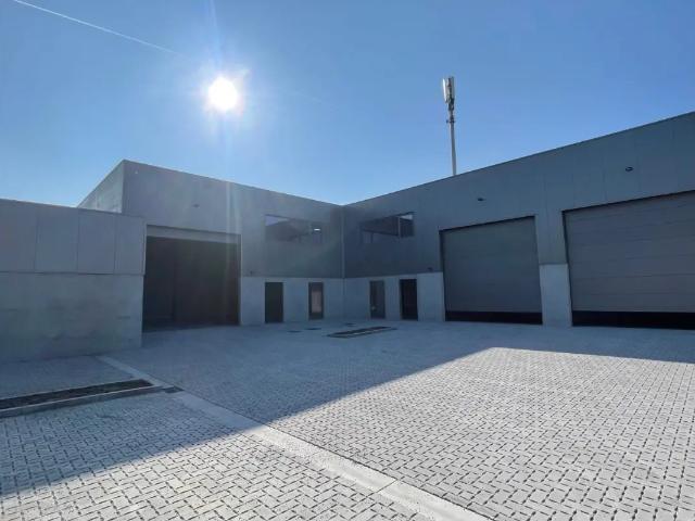 Local Commercial vente à Oostende, West-Vlaanderen