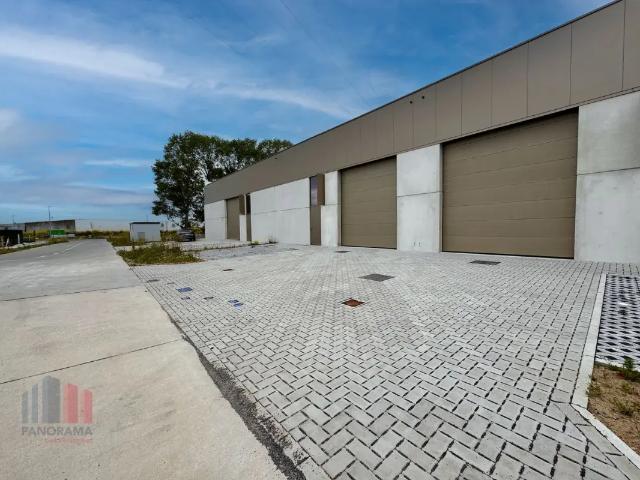 Local Commercial vente à Roeselare, West-Vlaanderen