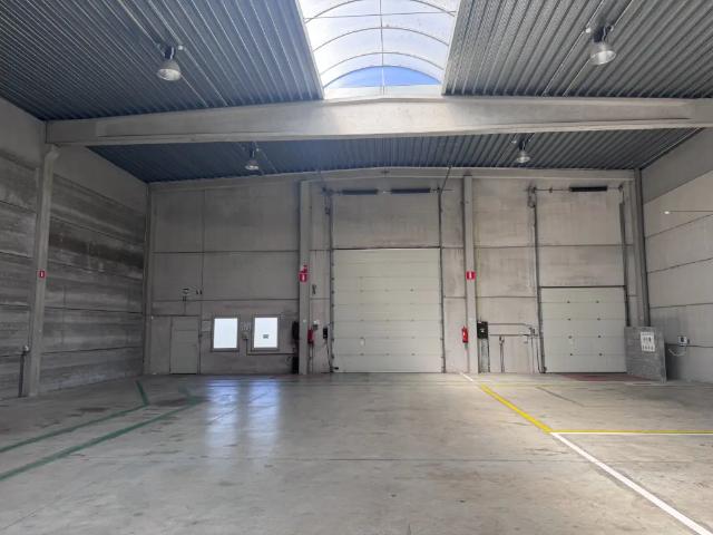 Local Commercial vente à Tamise, Oost-Vlaanderen