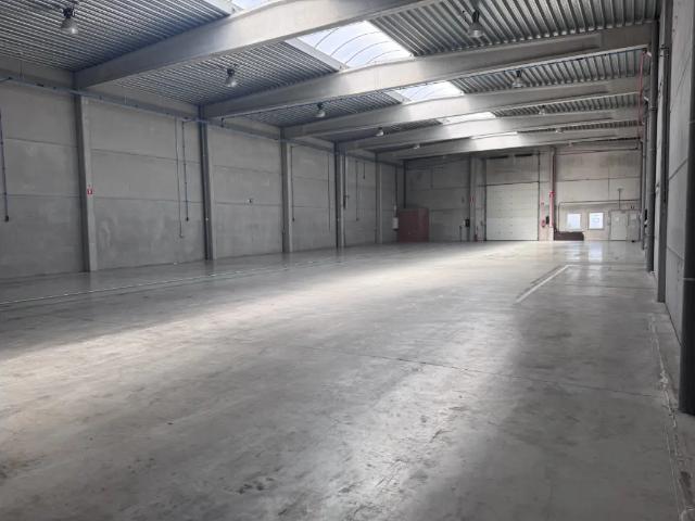 Local Commercial vente à Tamise, Oost-Vlaanderen