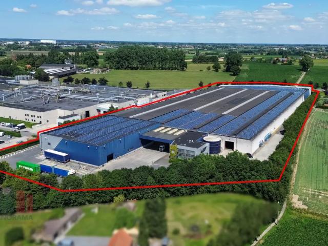 Local Commercial vente à Tielt, West-Vlaanderen