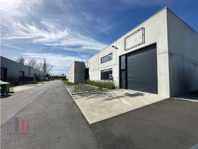 Local Commercial vente à Anzegem, West-Vlaanderen