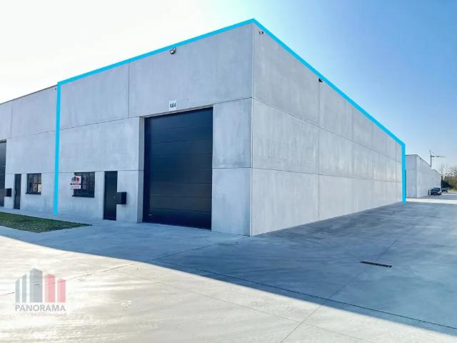 Local Commercial vente à Waregem, West-Vlaanderen