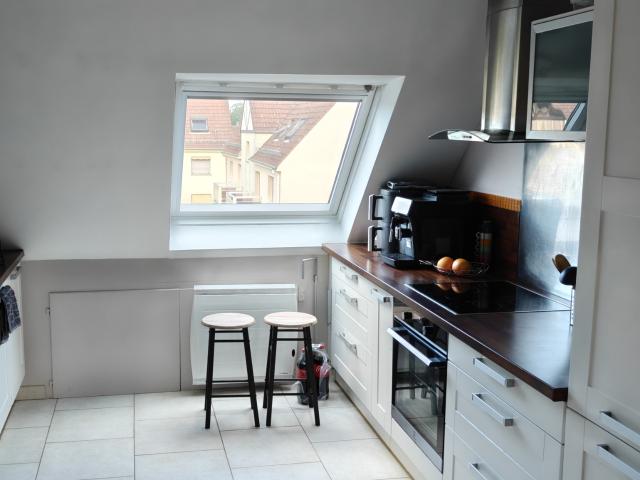 Appartement vente à Strasbourg, Hoenheim