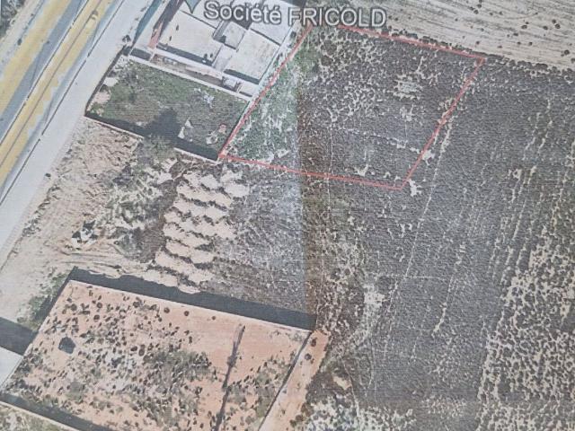 Terrain vente à Ben Arous