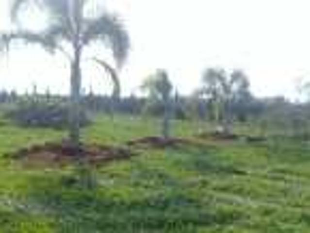 Propriété vente à Témara