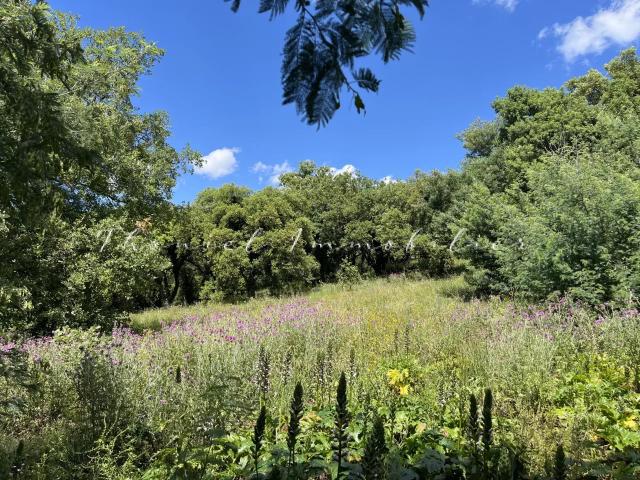 Terrain vente à Arrondissement de Draguignan, Grimaud