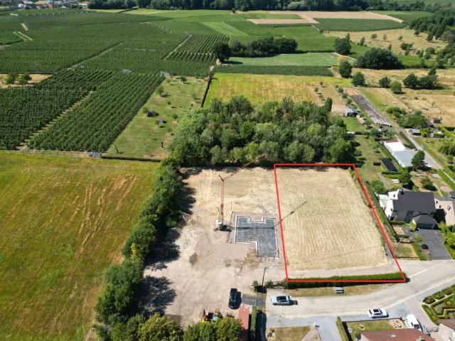 Terrain vente à Alken, Limburg