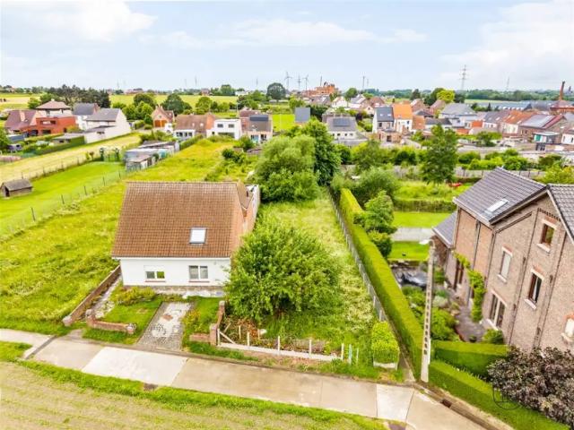 Terrain vente à Kluisbergen, Oost-Vlaanderen