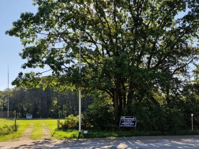 Terrain vente à Beringen, Limburg