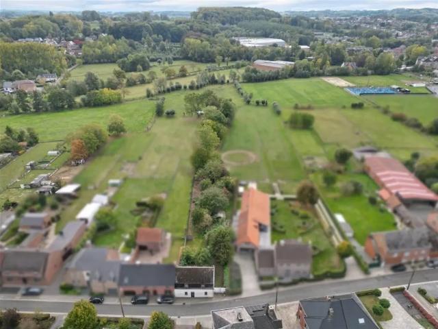 Terrain vente à Nederbrakel, Oost-Vlaanderen