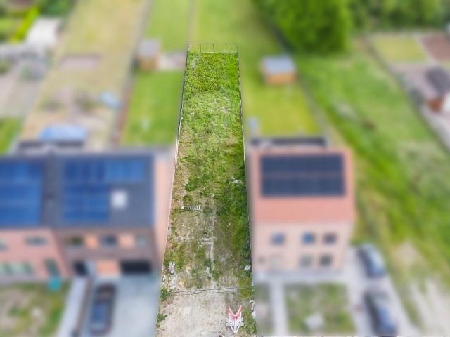 Terrain vente à Buggenhout, Oost-Vlaanderen