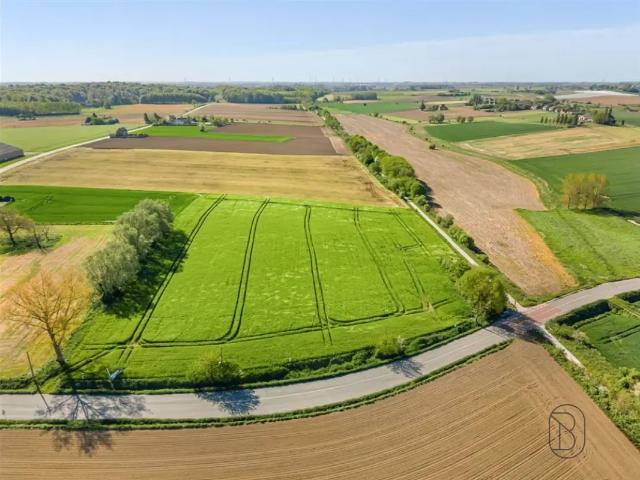 Terrain vente à Hacquegnies, Wallonie