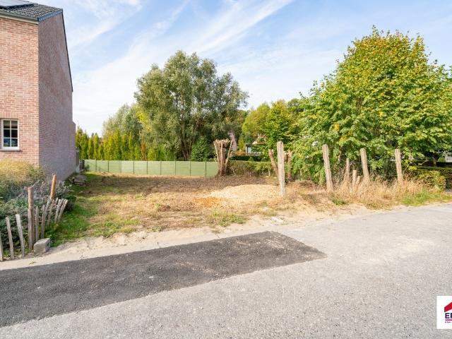 Terrain vente à Beersel, Brabant