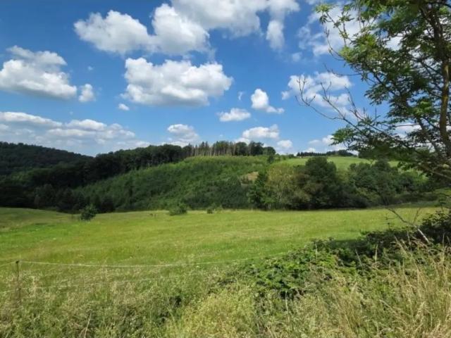 Terrain vente à Érezée, Luxembourg