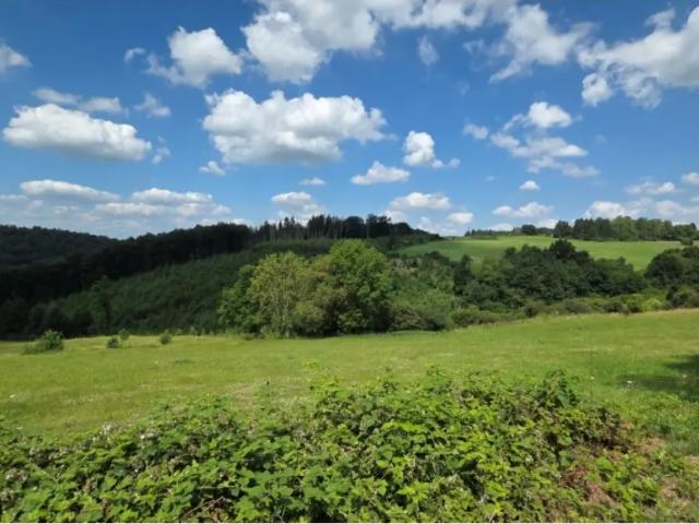 Terrain vente à Érezée, Wallonie