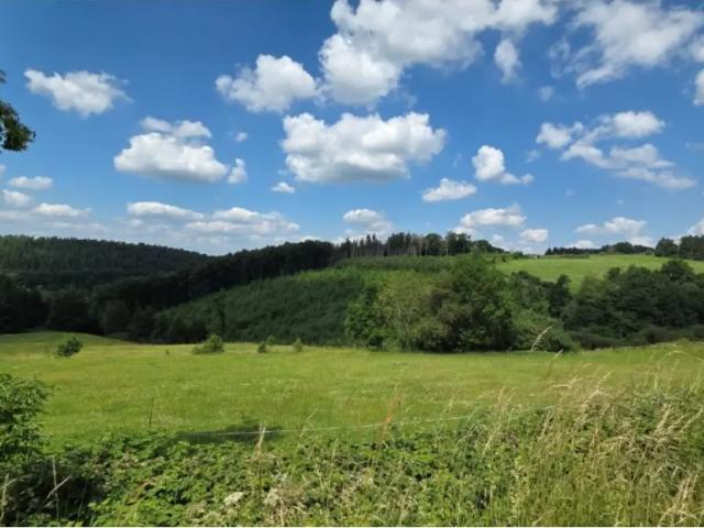 Terrain vente à Érezée, Wallonie