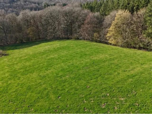 Terrain vente à Ferrieres, Wallonie