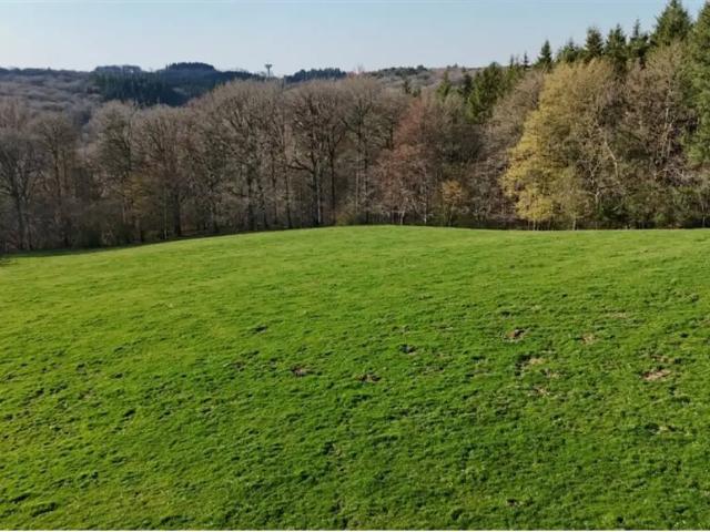 Terrain vente à Ferrieres, Wallonie