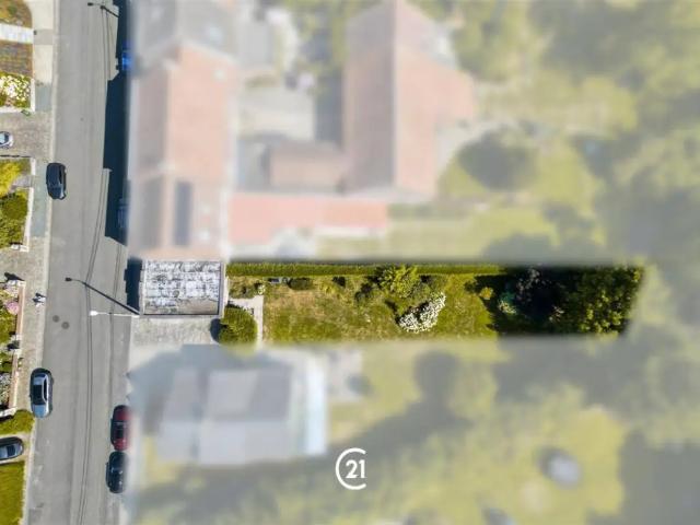 Terrain vente à Grammont, Oost-Vlaanderen