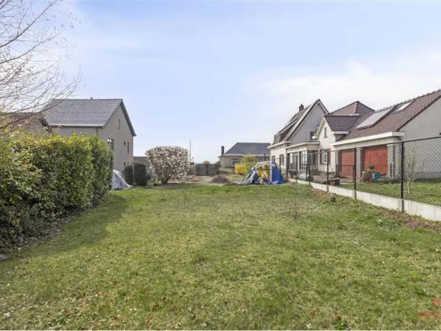 Terrain vente à Grammont, Oost-Vlaanderen