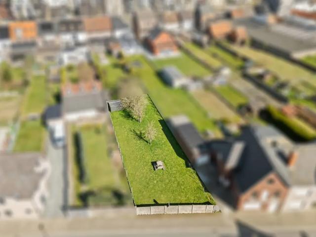 Terrain vente à Herzele, Oost-Vlaanderen