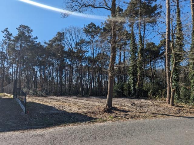 Terrain vente à Houthalen-helchteren, Limburg