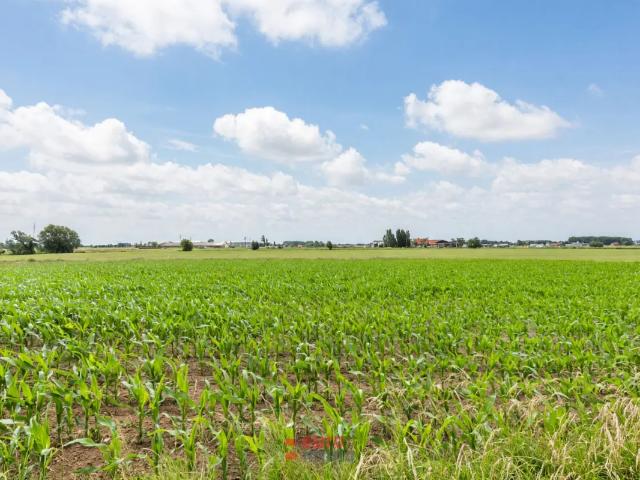 Terrain vente à Ieper, West-Vlaanderen