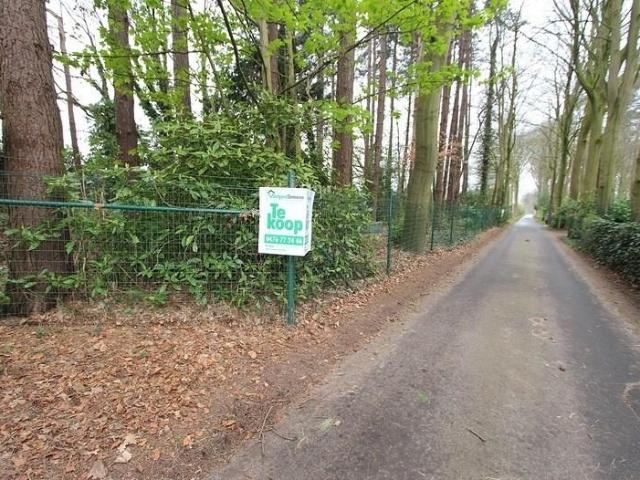 Terrain vente à Jabbeke, West-Vlaanderen