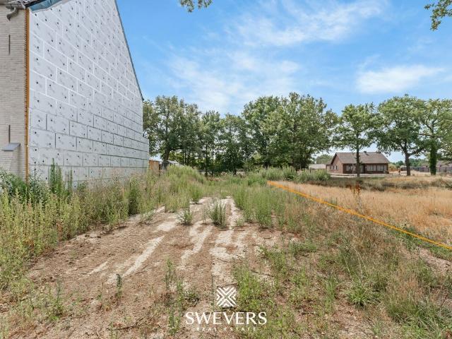 Terrain vente à Beringen, Limburg