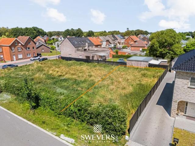 Terrain vente à Beringen, Limburg