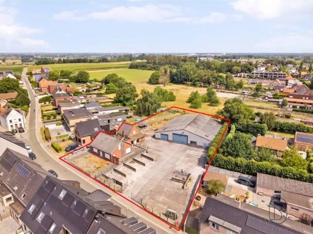 Terrain vente à Kruishoutem, Oost-Vlaanderen