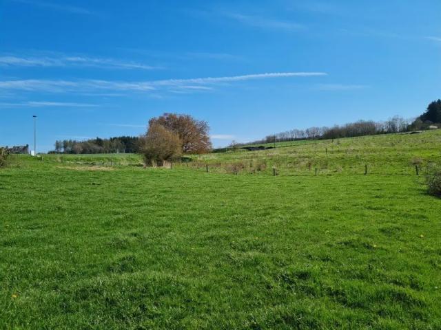 Terrain vente à La Roche-en-ardenne, Wallonie