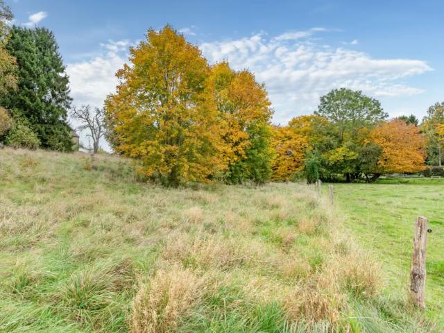 Terrain vente à Paliseul, Wallonie