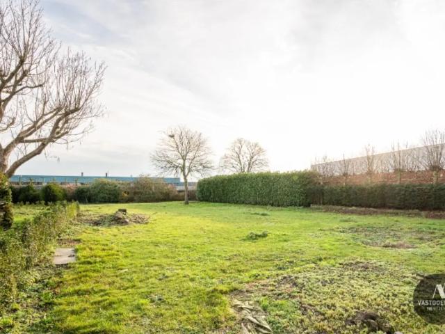 Terrain vente à Maldegem, Oost-Vlaanderen