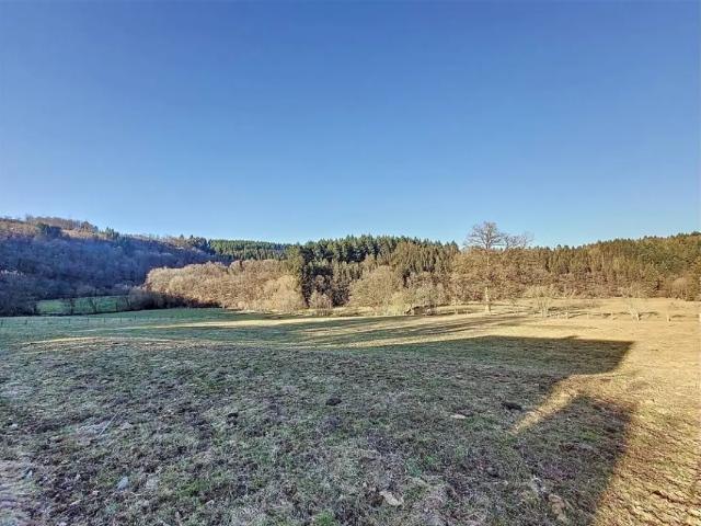 Terrain vente à Martelange, Wallonie