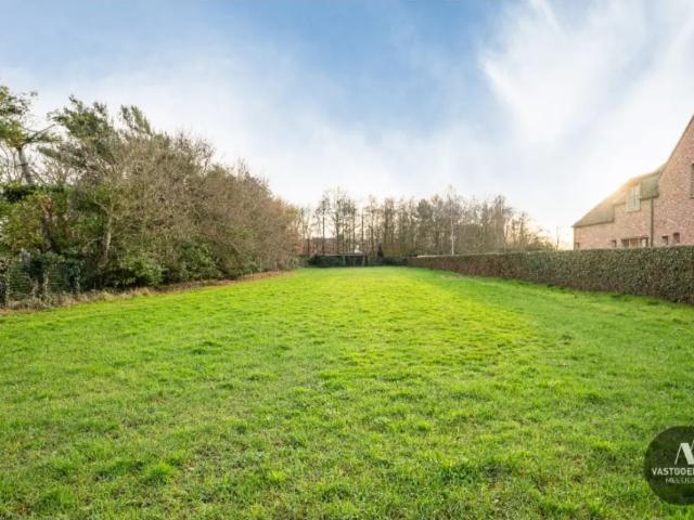 Terrain vente à Maldegem, Oost-Vlaanderen