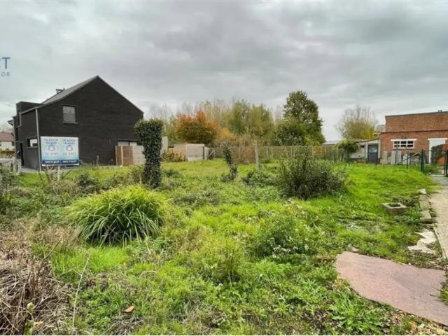 Terrain vente à Grammont, Oost-Vlaanderen