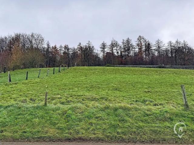 Terrain vente à Baillamont, Wallonie