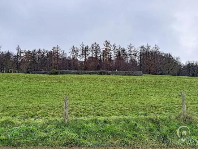 Terrain vente à Baillamont, Wallonie