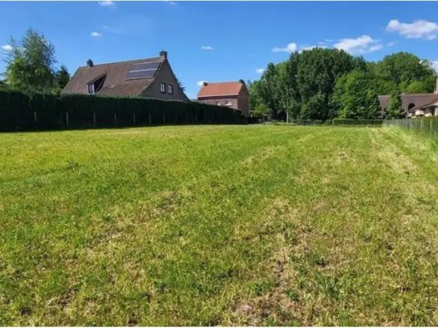 Terrain vente à Ninove, Oost-Vlaanderen